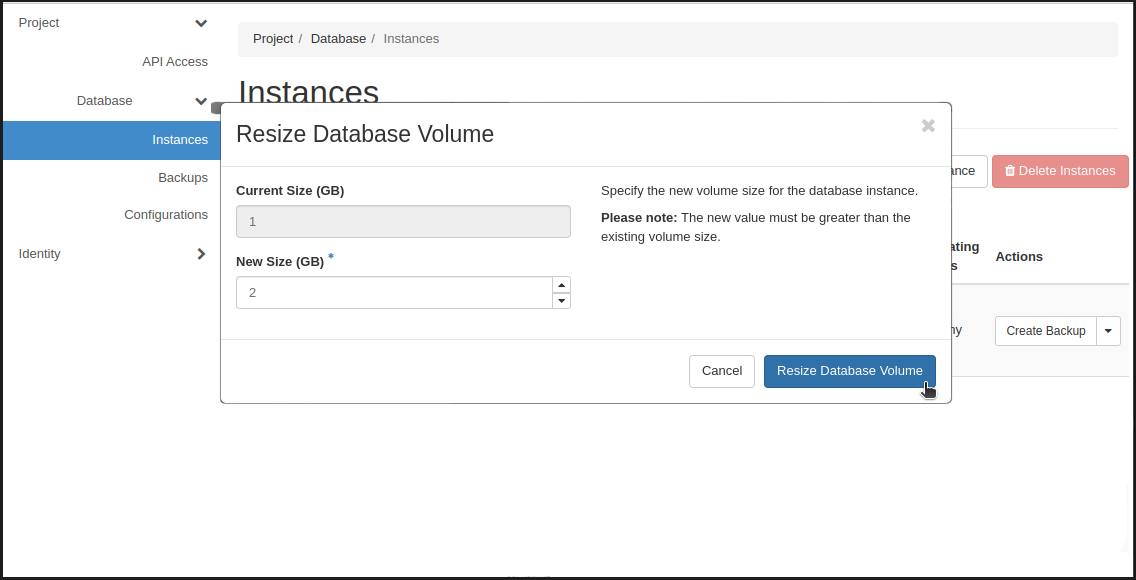 Valitse 'Resize volume'