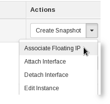 Floating IP association options