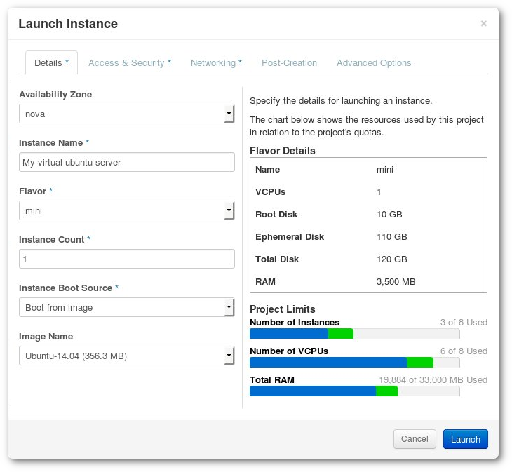 Launch the instance view